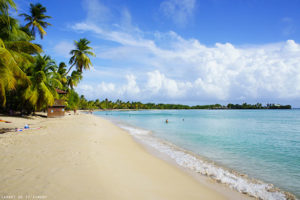 Les Salines (Martinique)