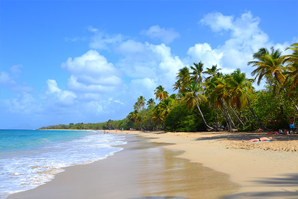 Les Salines (Martinique)